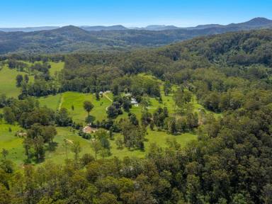 Farm For Sale - NSW - Wadeville - 2474 - Rural Lifestyle Opportunity- Suits Cattle, Horse Lovers!!!  (Image 2)