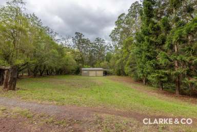 Farm Sold - QLD - Peachester - 4519 - RARE PEACHESTER PARCEL!!  (Image 2)