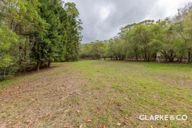 Farm Sold - QLD - Peachester - 4519 - RARE PEACHESTER PARCEL!!  (Image 2)