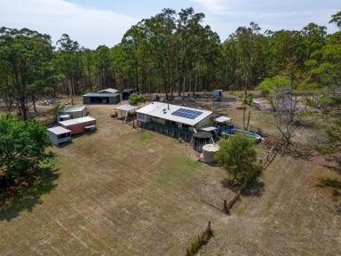 Farm For Sale - NSW - Collombatti - 2440 - Discover Tranquillity - Just 25 Minutes From Kempsey on 22Ha (54 Acres)  (Image 2)