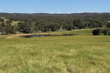 Farm Sold - NSW - Kyeamba - 2650 - FOR LEASE - Mixed Grazing Opportunity  (Image 2)