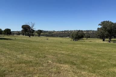 Farm Sold - NSW - Kyeamba - 2650 - FOR LEASE - Mixed Grazing Opportunity  (Image 2)