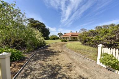 Farm For Sale - SA - Millicent - 5280 - Rural Living At Its Best  (Image 2)