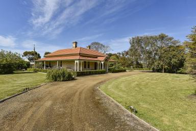 Farm For Sale - SA - Millicent - 5280 - Rural Living At Its Best  (Image 2)
