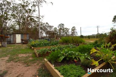 Farm Sold - QLD - Abington - 4660 - PERFECT HOME BASE OR BUILD FOR THE FUTURE  (Image 2)