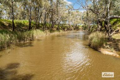 Farm For Sale - VIC - Runnymede - 3558 - 'Charter House' 1501 River Road, Runnymede – Elmore District.
177 Ha – 437.4 Acres Approx 4km Campaspe River Frontage  (Image 2)