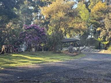 Farm For Sale - TAS - Penguin - 7316 - Large forest average providing solitude, peace, and privacy. A secluded retreat just 8-minute drive to Penguin and beaches.  (Image 2)