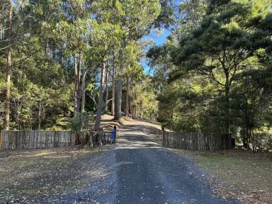 Farm For Sale - TAS - Penguin - 7316 - Tasmanian Secluded retreat,  an hideaway, a birdwatcher's lodge, , or a native animal lovers paradise.  (Image 2)