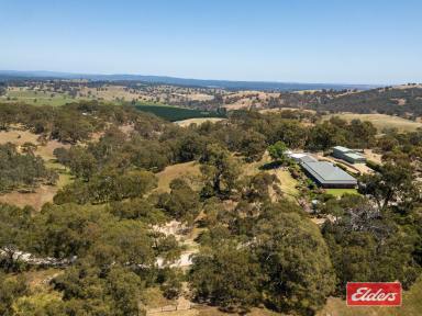 Farm For Sale - SA - Pewsey Vale - 5351 - UNDER CONTRACT BY JEFF LIND  (Image 2)
