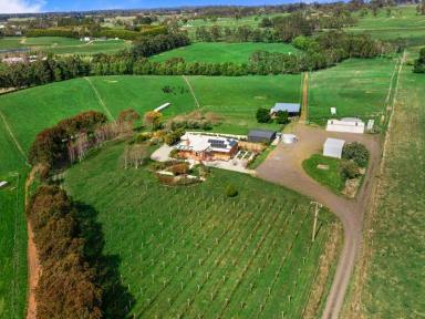 Farm Sold - VIC - Trentham - 3458 - COOL COUNTRY, SPUD COUNTRY, TRENTHAM PACKS A PUNCH.  (Image 2)
