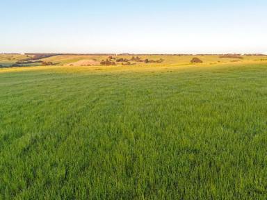 Farm For Sale - VIC - Merino - 3310 - Balls 100 Acres - 40.47 Hectares approx.  (Image 2)