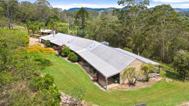 Farm For Sale - QLD - Cooroy - 4563 - Rural Lifestyle Holdings (three lots sold last two remaining)  (Image 2)