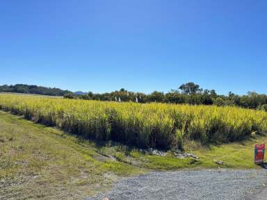 Farm For Sale - QLD - Glenella - 4740 - FAMILY REALISATION/SELLING  (Image 2)