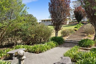 Farm For Sale - NSW - Mogo - 2536 - A Class Above the Rest  (Image 2)