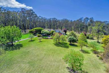 Farm For Sale - NSW - Mogo - 2536 - A Class Above the Rest  (Image 2)