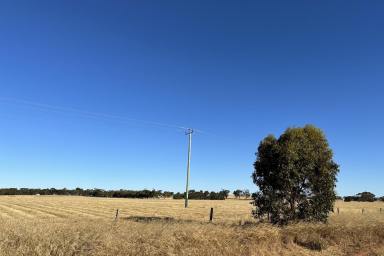 Farm For Sale - WA - Broomehill Village - 6318 - THE SEARCH IS OVER  (Image 2)