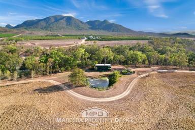 Farm Sold - QLD - Dimbulah - 4872 - LIFESTYLE PLUS ENTRY LEVEL FARMING OPPORTUNITY  (Image 2)