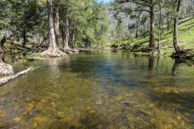 Farm Sold - NSW - Palmers Oaky - 2795 - 122ACRES* Fishing and camping, perfect recreational retreat!  (Image 2)