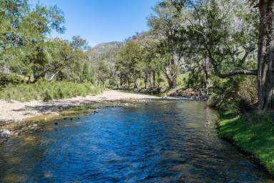 Farm Sold - NSW - Palmers Oaky - 2795 - 102ACRES* Recreation activities at its finest, Fishing, camping and hiking!  (Image 2)