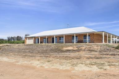 Farm For Sale - SA - Cooltong - 5341 - Lifestyle Living with room to plant what you desire.  (Image 2)