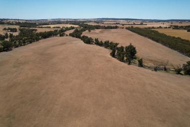 Farm Sold - WA - Jelcobine - 6306 - Productive soils and winter creeks                                            39.2ha (96.82acres)  (Image 2)