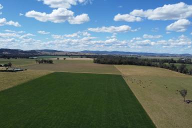 Farm Sold - NSW - Gooloogong - 2805 - RIVER FRONTAGE - PRIME ALLUVIAL LAND - OWNED FOR 83YRS!  (Image 2)