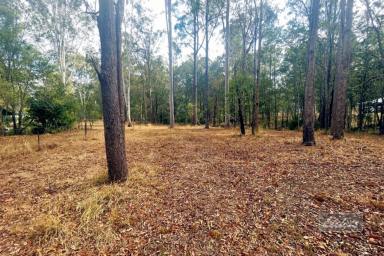 Farm For Sale - QLD - Glenwood - 4570 - SELL! SELL! SELL!  (Image 2)