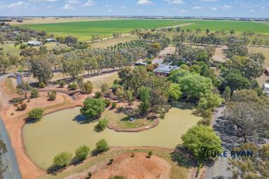 Farm For Sale - VIC - Echuca - 3564 - 100 ACRES WITH HOME AND GARDEN OASIS  (Image 2)