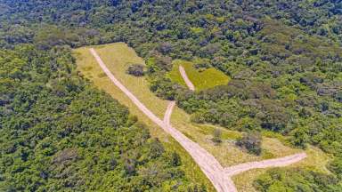 Farm Sold - QLD - Aloomba - 4871 - Rainforest Retreat - 572 Acres - 3 Bedroom House  (Image 2)