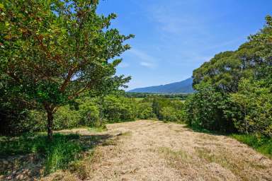 Farm Sold - QLD - Aloomba - 4871 - Rainforest Retreat - 572 Acres - 3 Bedroom House  (Image 2)