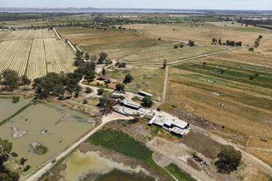 Farm Sold - VIC - Gunbower - 3566 - Executors Sale – Expression of Interest  

Gunbower Creek Frontage

"KURRAJONG Park"

Account Estate DK Oberin 

 ( 70 plus years of ownership )  (Image 2)