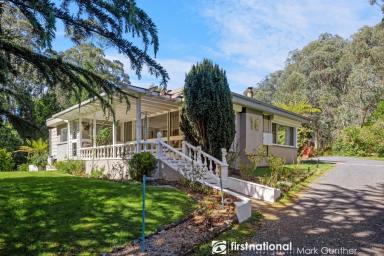 Farm For Sale - VIC - Narbethong - 3778 - Magical Property with 2 Houses, Enormous Shed on 4 Titles!  (Image 2)