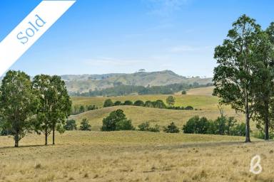 Farm Sold - NSW - Glendon Brook - 2330 - STUNNING VIEWS & DOUBLE CREEK FRONTAGE | 40 HA (100 ACRES)  (Image 2)