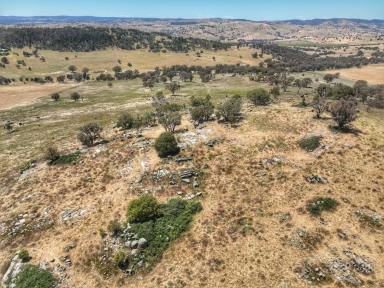 Farm For Sale - NSW - Woodstock - 2793 - 170 ACRE MIXED USE LAND WITH BEAUTIFUL VIEWS  (Image 2)
