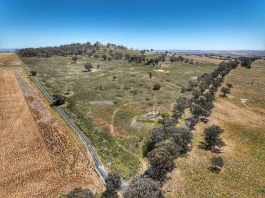 Farm For Sale - NSW - Woodstock - 2793 - 170 ACRE MIXED USE LAND WITH BEAUTIFUL VIEWS  (Image 2)