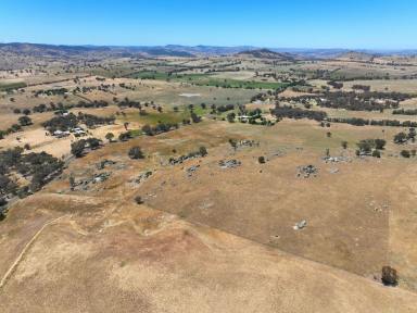 Farm For Sale - NSW - Darbys Falls - 2793 - 112 ACRES - MIXED USE LAND - JUST 15 MINUTES FROM COWRA  (Image 2)