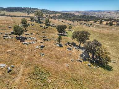 Farm For Sale - NSW - Darbys Falls - 2793 - 112 ACRES - MIXED USE LAND - JUST 15 MINUTES FROM COWRA  (Image 2)