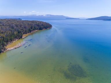 Farm For Sale - TAS - South Bruny - 7150 -  Blue Heron Oyster Lease., Little Taylors Bay, Great Potential.   (Image 2)