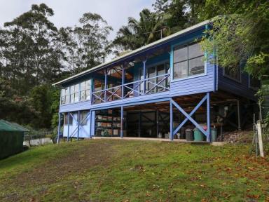 Farm Sold - NSW - Eden Creek - 2474 - Rainforest Retreat with 2 Cabins  (Image 2)