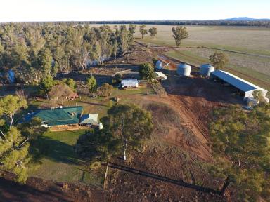 Farm For Sale - NSW - Forbes - 2871 - Droughtproof Fodder Factory with 1440 ML Bore Water Included  (Image 2)