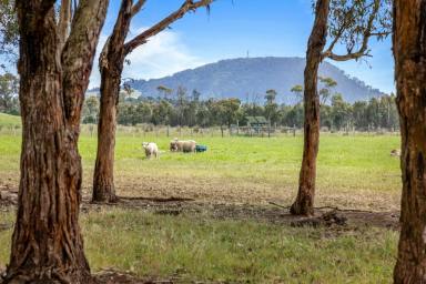 Farm For Sale - VIC - Scotsburn - 3352 - Country Living at Its Best – 67 Acres Close To Buninyong  (Image 2)
