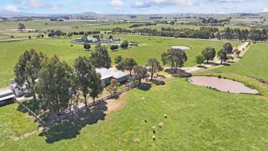 Farm For Sale - VIC - Creswick - 3363 - When Luxury And Charm Combine  (Image 2)