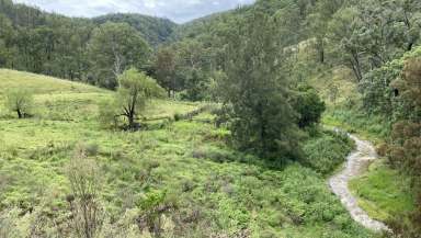 Farm For Sale - NSW - Cooplacurripa - 2424 - 260 Mountain Acres with creek and cabin  (Image 2)