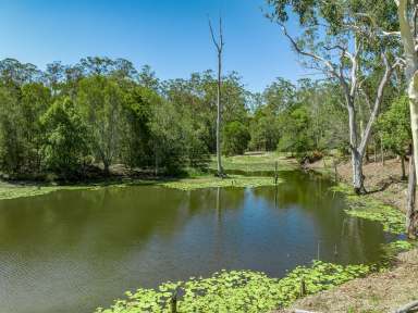 Farm Sold - QLD - Veteran - 4570 - SET UP YOUR OFF GRID PARADISE  (Image 2)