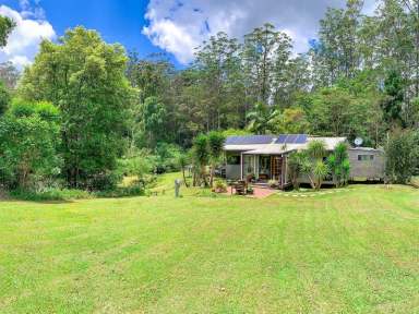 Farm For Sale - NSW - Wadeville - 2474 - Plot of Gold  (Image 2)