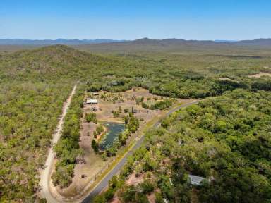 Farm For Sale - QLD - Cooktown - 4895 - Catch Your Own Barra!!
34 Acres, Large Shed, Dams, Fruit Trees  (Image 2)