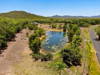 Farm For Sale - QLD - Cooktown - 4895 - Acreage Life Style Waiting  (Image 2)