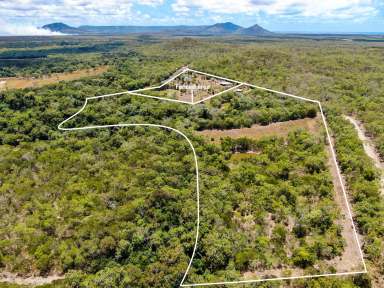 Farm For Sale - QLD - Cooktown - 4895 - Catch Your Own Barra!!
34 Acres, Large Shed, Dams, Fruit Trees  (Image 2)