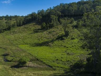 Farm For Sale - NSW - Boorabee Park - 2480 - Lifestyle Property On 130 Acres.  (Image 2)