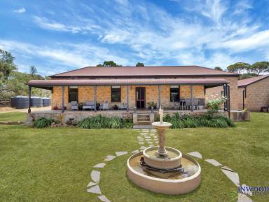 Farm Sold - SA - Black Hill - 5353 - 1880's cottage. 5Ha. stunning restoration. Red Gum country, water, style, nature, peace and tranquility. Your country home awaits.  (Image 2)
